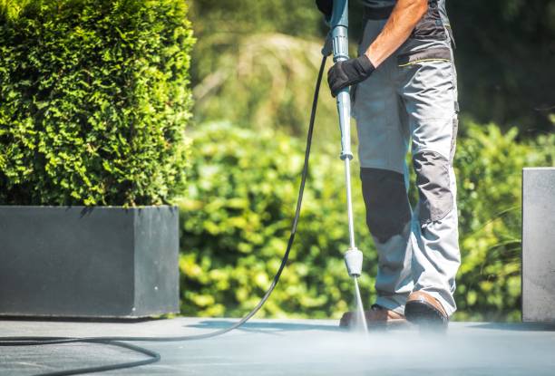 Best Paint Preparation  in Benson, NC